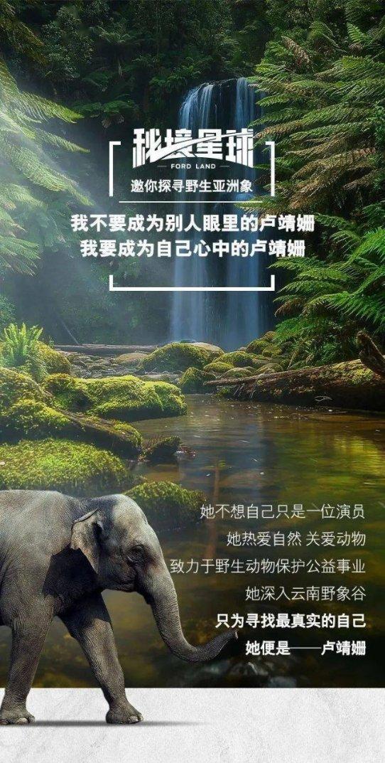 理财专员